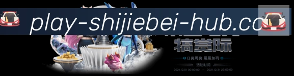 未来规划